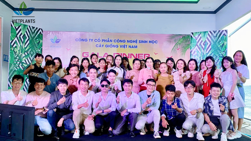 Buổi “Gala dinner” của tập thể Vietplants diễn ra sôi động