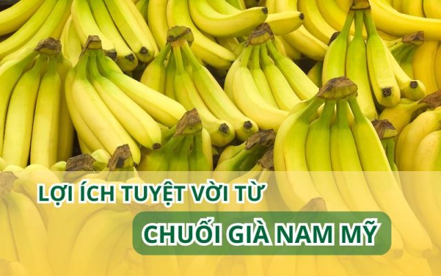 Loi ich tu chuoi gia Nam My