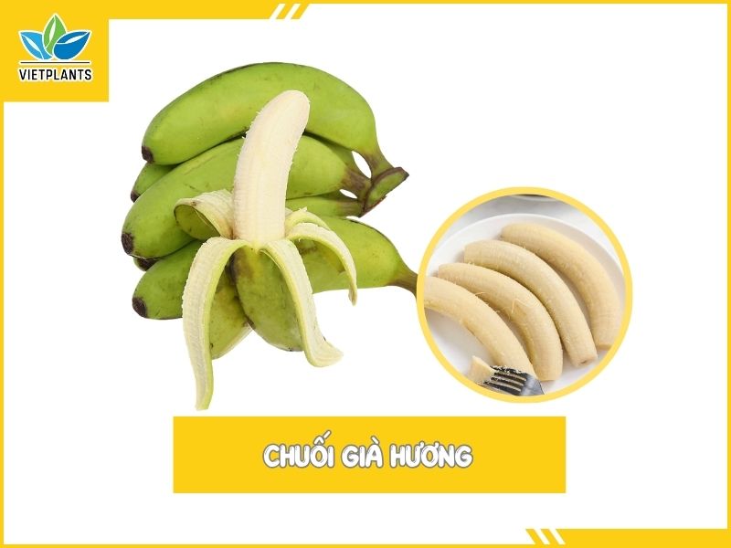TOP CÁC GIỐNG CHUỐI PHỔ BIẾN Ở VIỆT NAM Chuoi gia huong 1