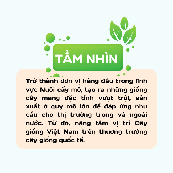 Tam nhin