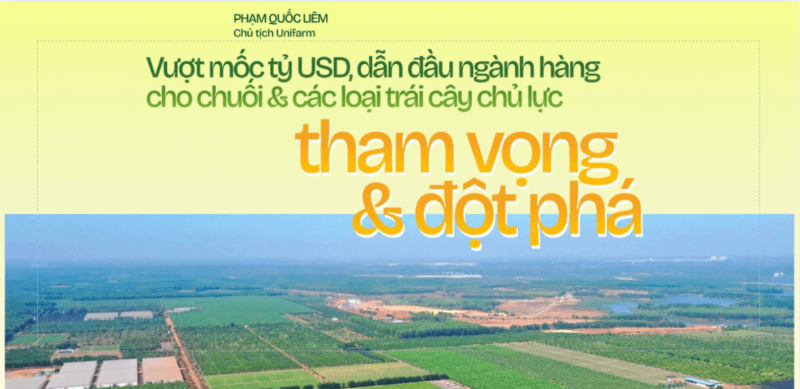 Tham vong trong nganh chuoi Viet Nam