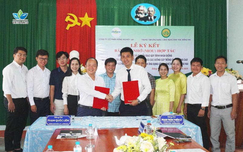 Ký Kết Chuyển Giao Quy Trình Và Liên Kết Sản Xuất Giống UNI 126 Giữa Unifarm Và Trung Tâm CNSH Đồng Nai Chuyen giao va lien ket san xuat giong UNI126