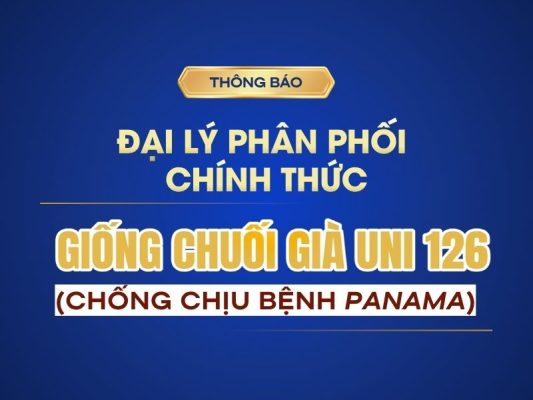 Dai ly chinh thuc giong gia UNI126